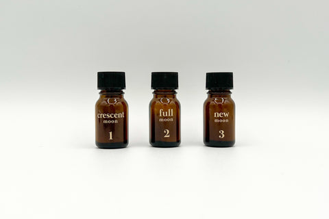 Incense Powder Delights Gift Set